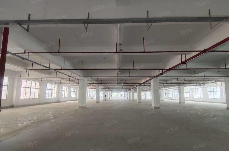 布吉李朗地铁站附近独栋18000平红本厂房出租500起分。