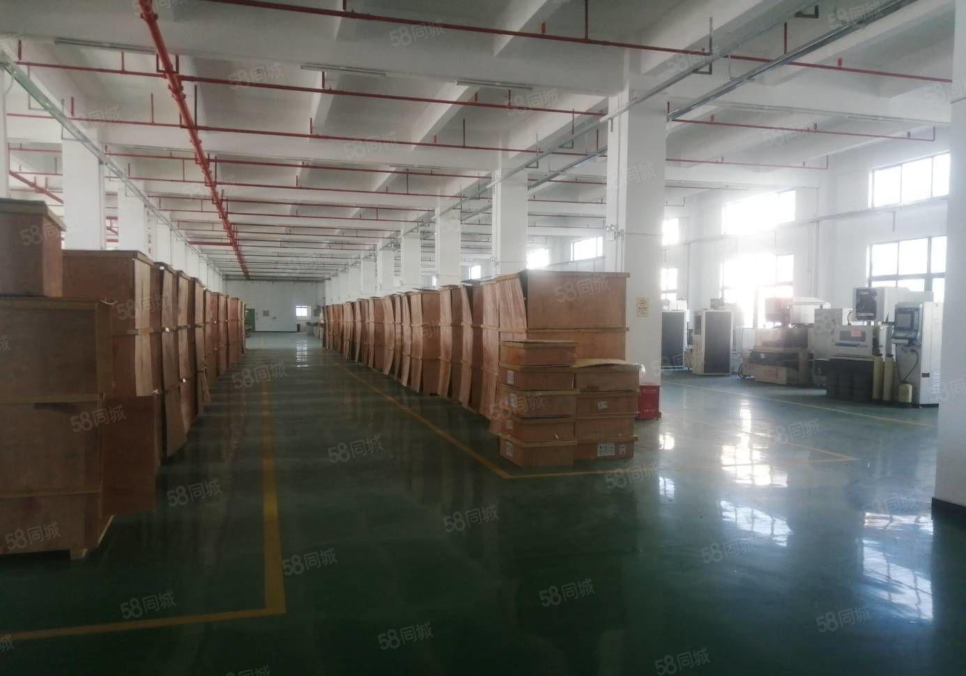 300平起租同乐原房东独门独院6500平精装修全新地坪漆厂房