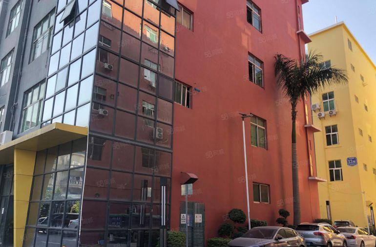 坂田电商园新出600平精装修办公室仓库厂房低价出租