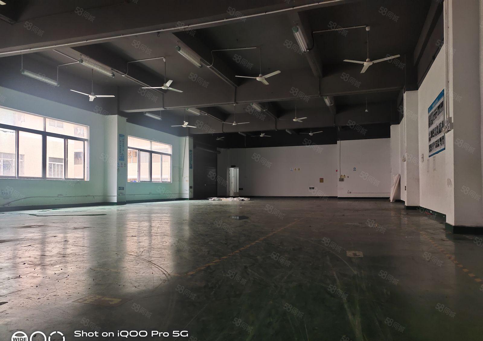 龙岗坂田上雪科技新园出楼上1000平米可分租报价26元一平