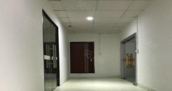 龙岗新生豪华装修厂房出租500平米免转让费