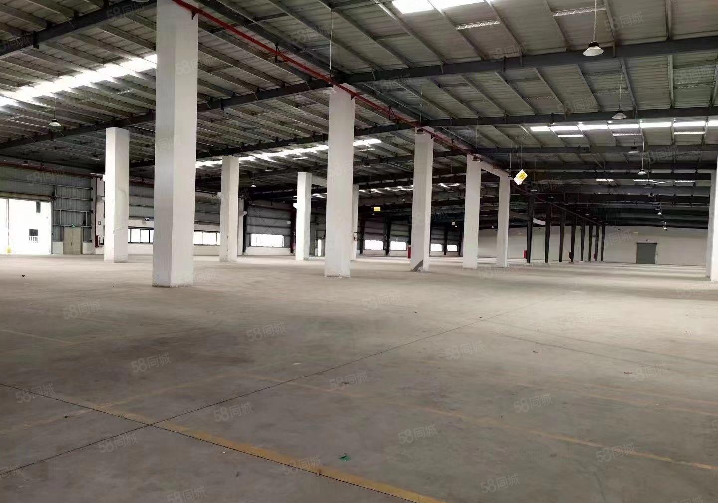 龙岗中心城周边大小钢构独院900到50000平米厂房仓库分租