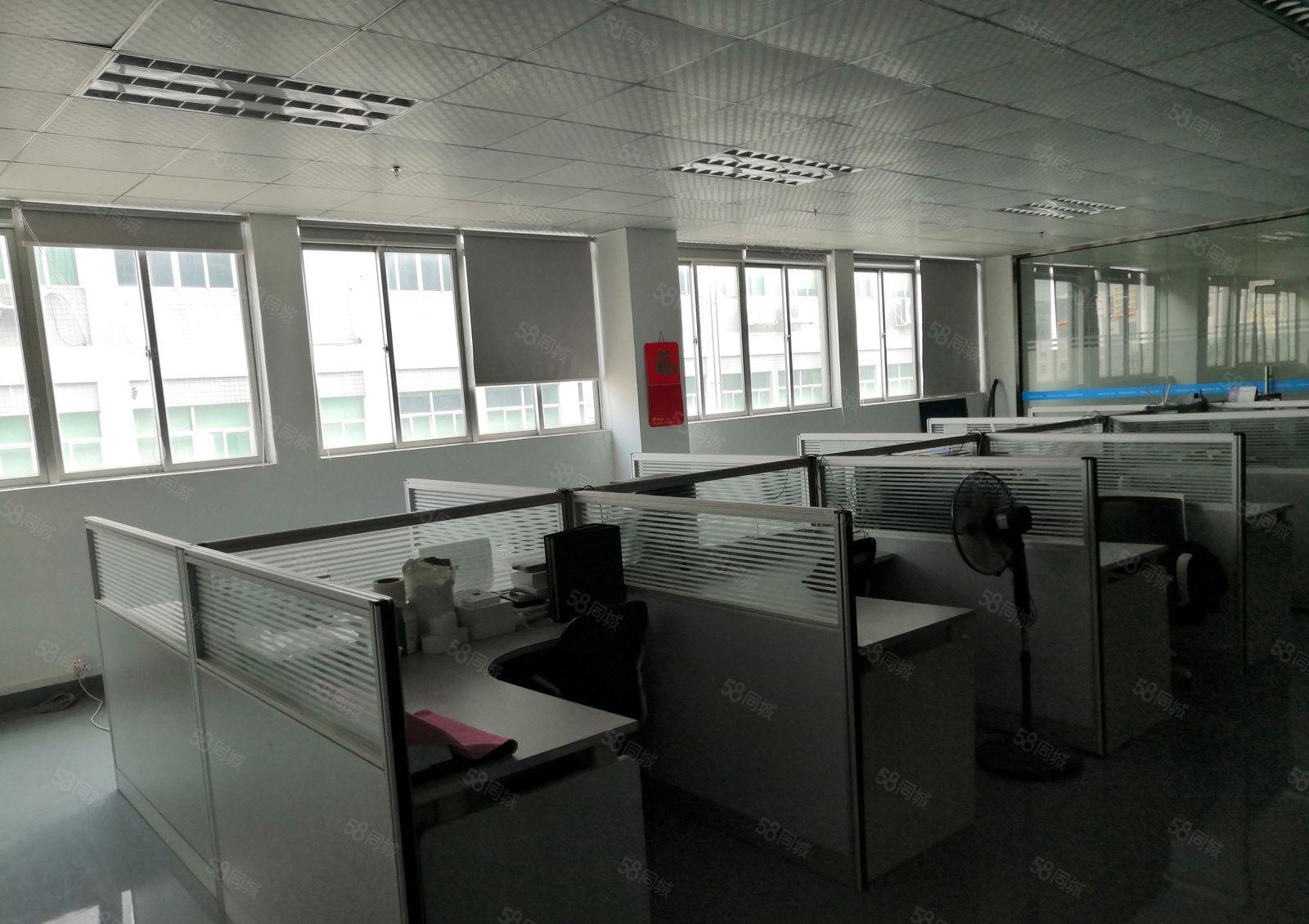 坪地低磷城红本厂房一楼1600平方米楼上1000平方米分租