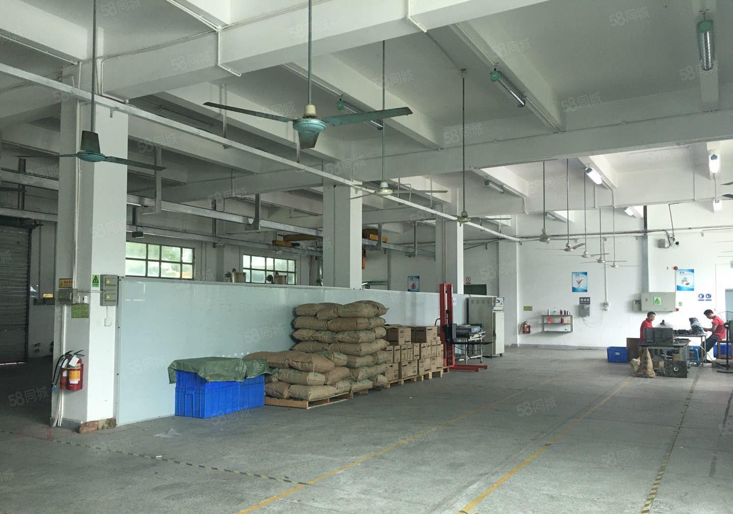 平湖富民工业园区独院2百5百8百1千平一楼仓库厂房出租可分租