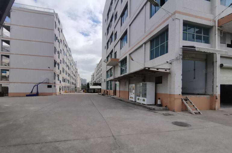 平湖华南城地铁站楼上3000平办公厂房仓库出租100平起分租