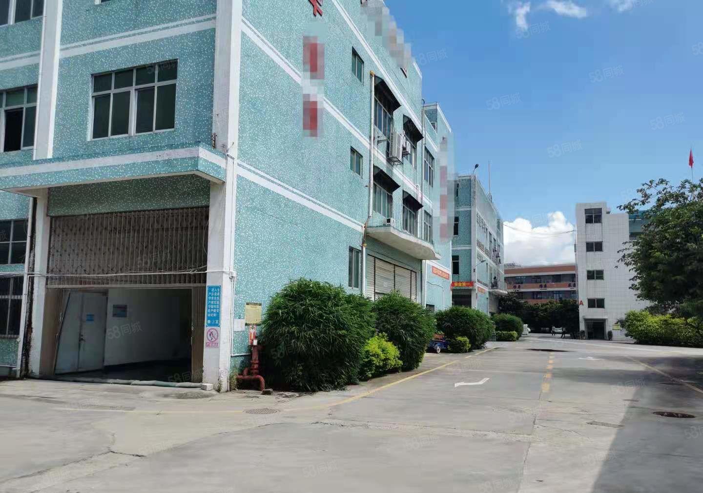 坪地500平米厂房出租形象好有电梯价格实惠