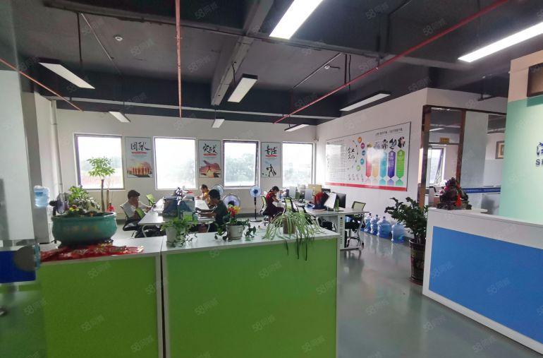 龙岗中心城1000平现成精装修电商办公加生产车间低价出租分租