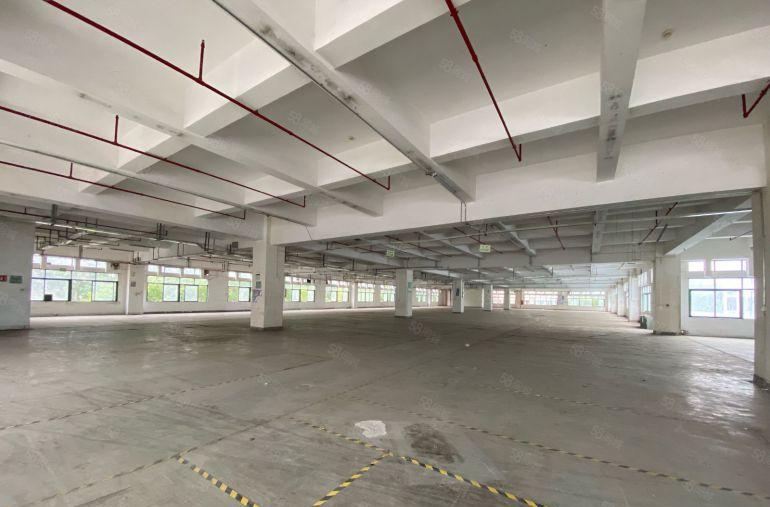 原房东坂田700平起红本厂房仓库出租园区空地大好停车