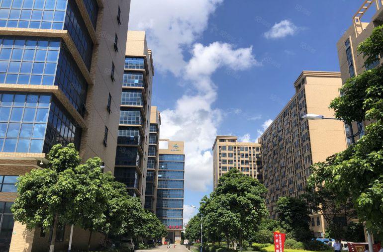 免租半年可拿补贴！坪山原房东独栋3万平单层2500平厂房出租