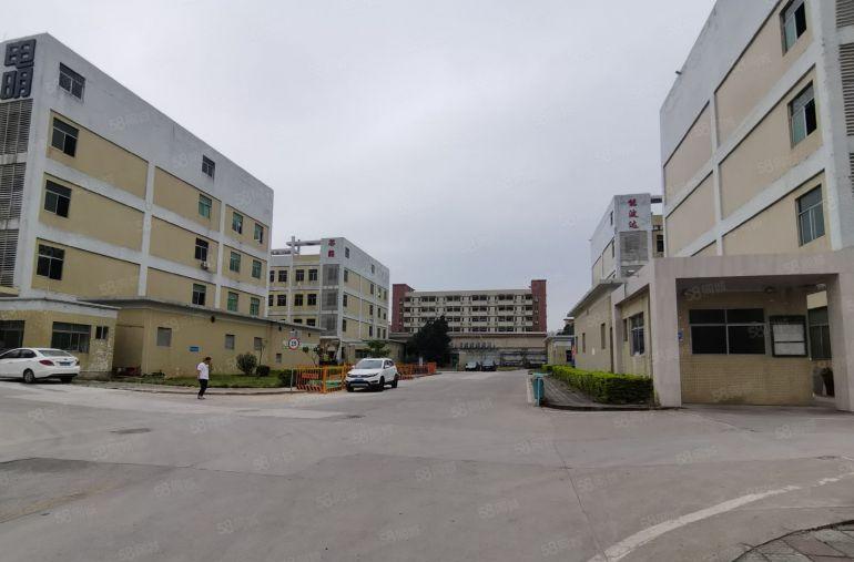 横岗低价仓库厂房出租1000平方进车方便带两吨标准货梯