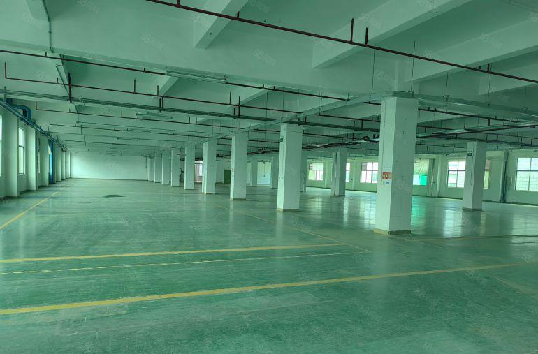 租12元，龙岗宝龙原房东楼上厂房单层面积3000平方低价出租