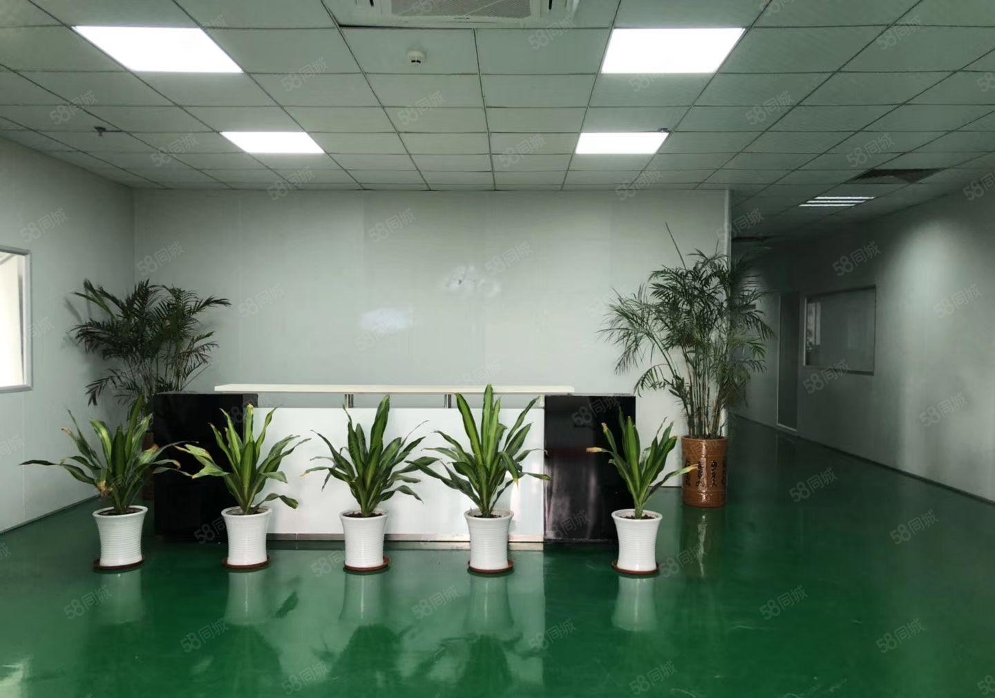 平湖富民工业区新出三楼800平方带装修厂房招租