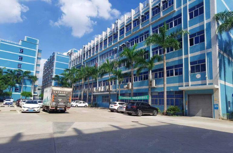 龙岗同乐原房东单层2000平方红本带装修办公仓库厂房低价出租