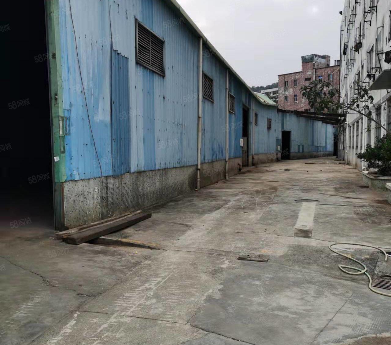 横岗地铁口8米高厂房招租横岗业主高速出口8米高钢构厂房招租