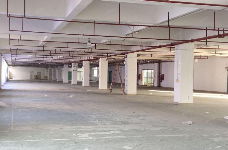 一手业主合同十年！龙岗平湖新厦工业城2800平仓库厂房可分租