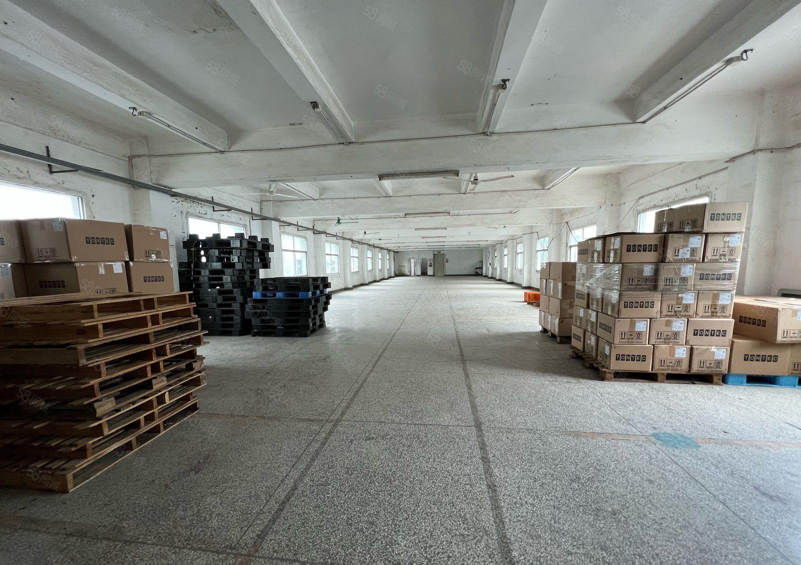 小独院！带装修！23块村委独院出租空地大使用率高适合仓储配送