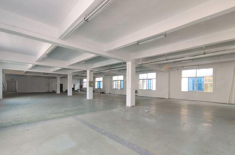 20元起租！龙岗龙东新出1300平厂房仓库出租可分租车位充足