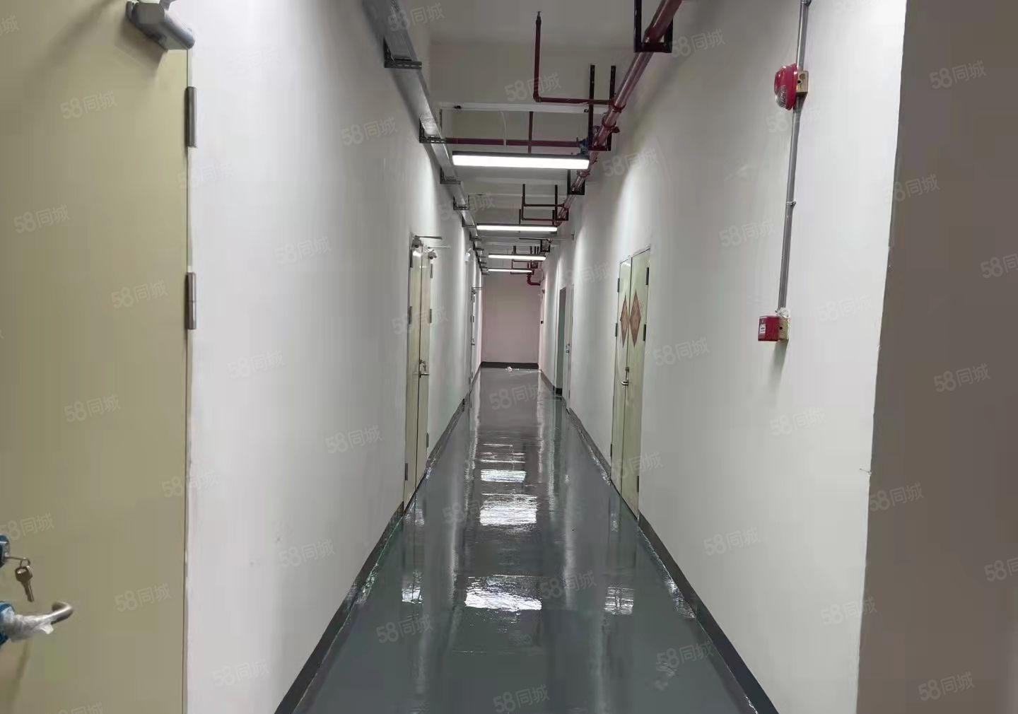 丹竹头地铁站全新装修厂房，大小可分租！