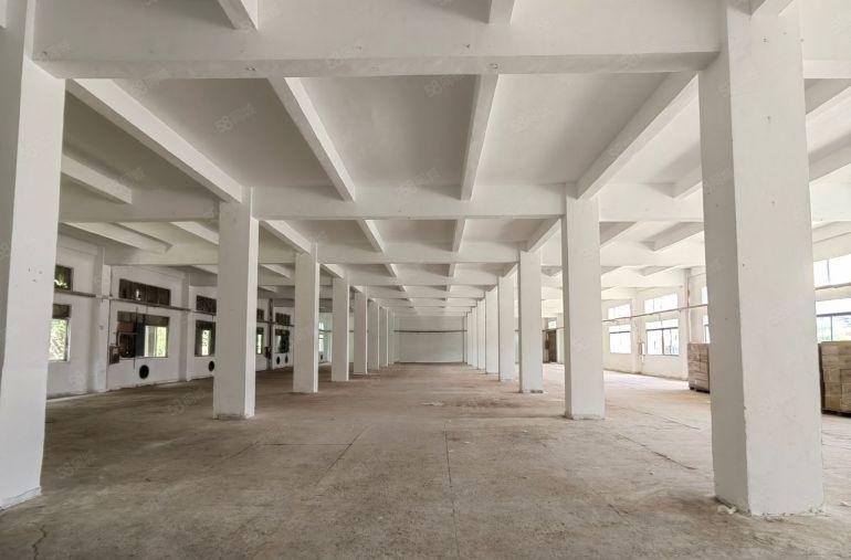 龙岗同乐工业区8000平原房东独院实际面积厂房出租500平起