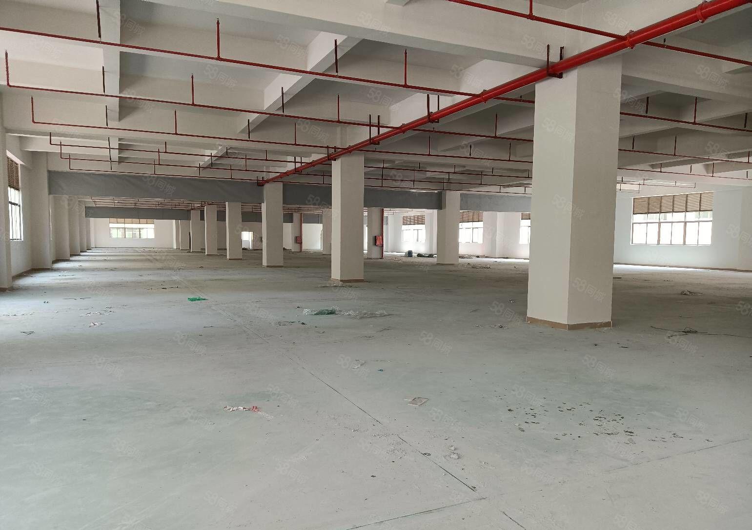 25块平湖辅城坳原房东独院厂房10000平出租500平起租