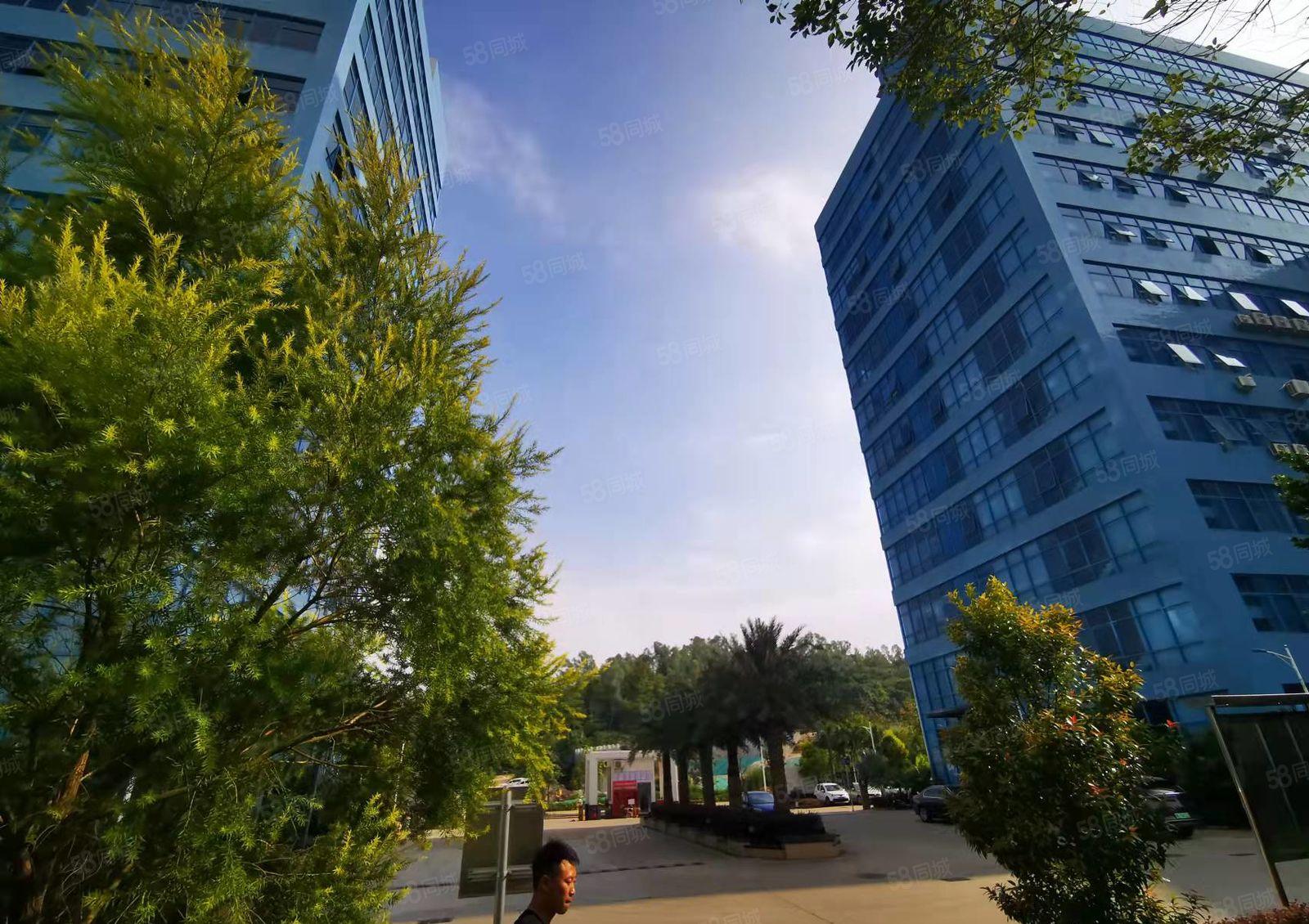 超大空地，龙东银龙工业科技园新出1550平方精装修厂房仓可分