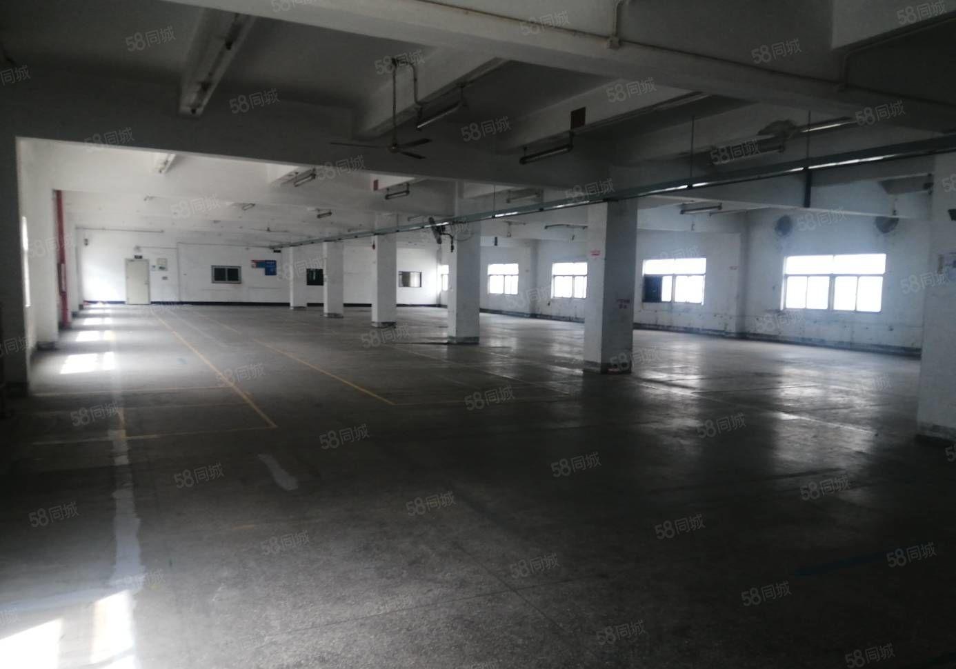 300平起租坂田原房东8500平独栋厂房 水电齐全 空地大