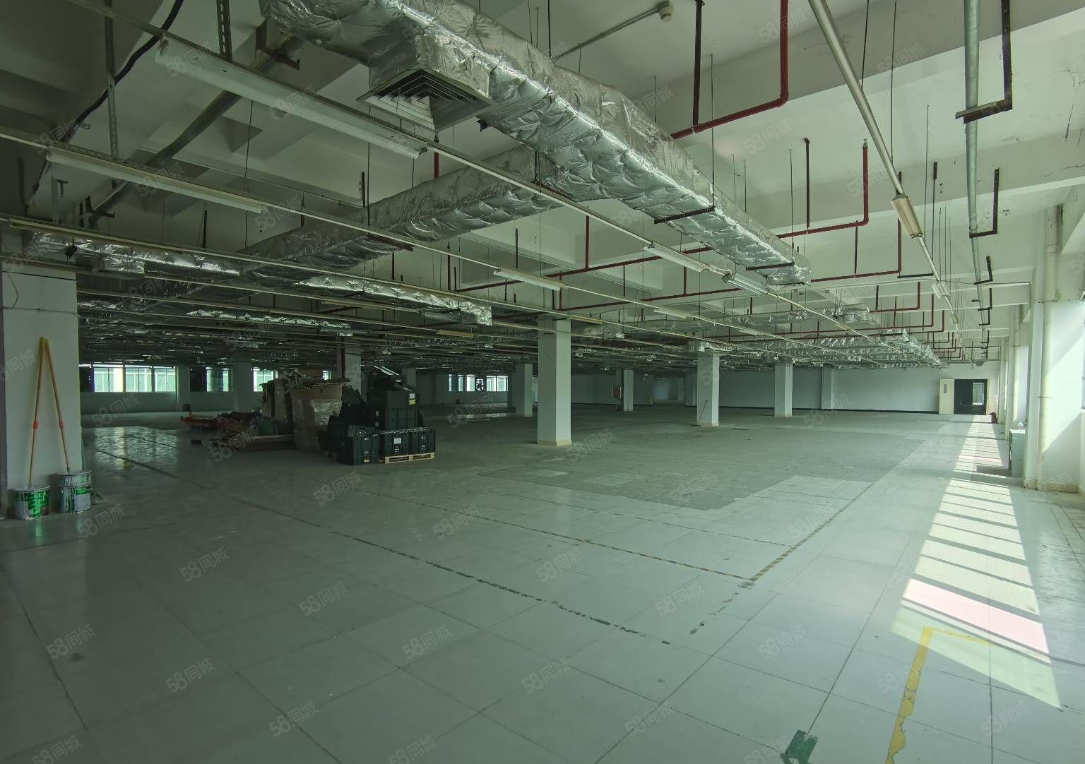 坂田五和原房东独门独院独栋厂房出租一楼仓库出租可分租小面积