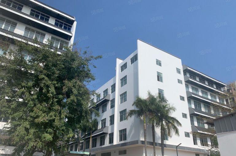 空地超大，坂田一楼2000平厂房出租仓库出租物流仓库可分