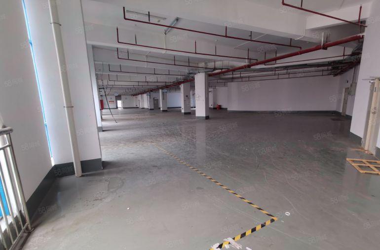 龙岗坪地厂房出租200平起工业园工业办公仓库一楼出租超大空地