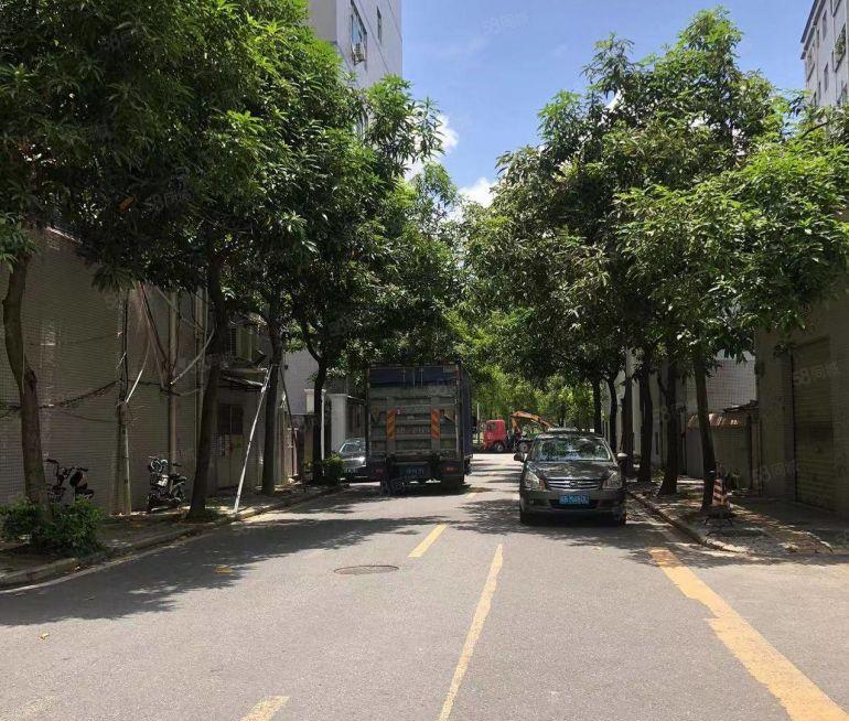 出租上雪星道工业园北区10号厂房6楼1350平，原房东有红本