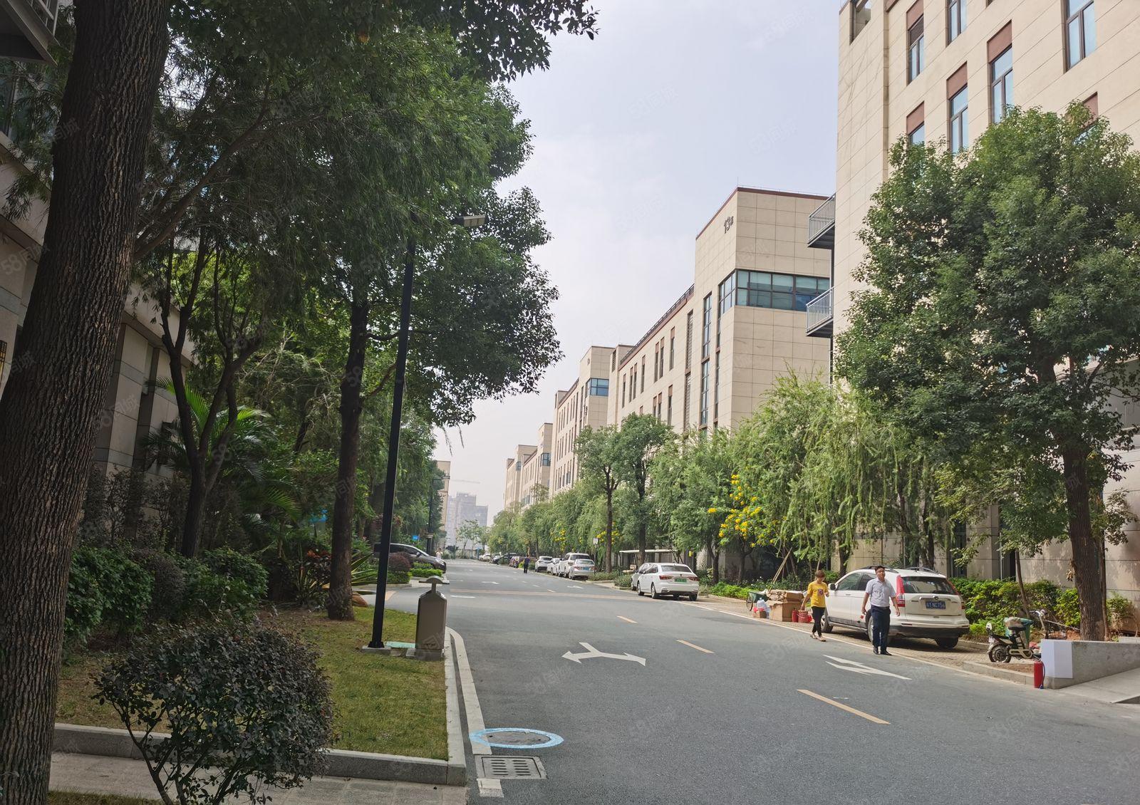 坂田上雪科技园500平1千平2000平厂房仓库租28空地大