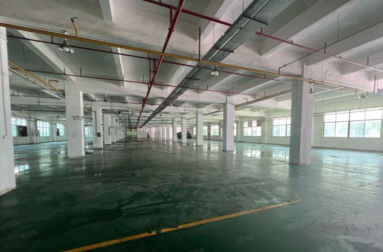 龙岗宝龙科技园原房东独院厂房仓库1500平出租场地大易招工