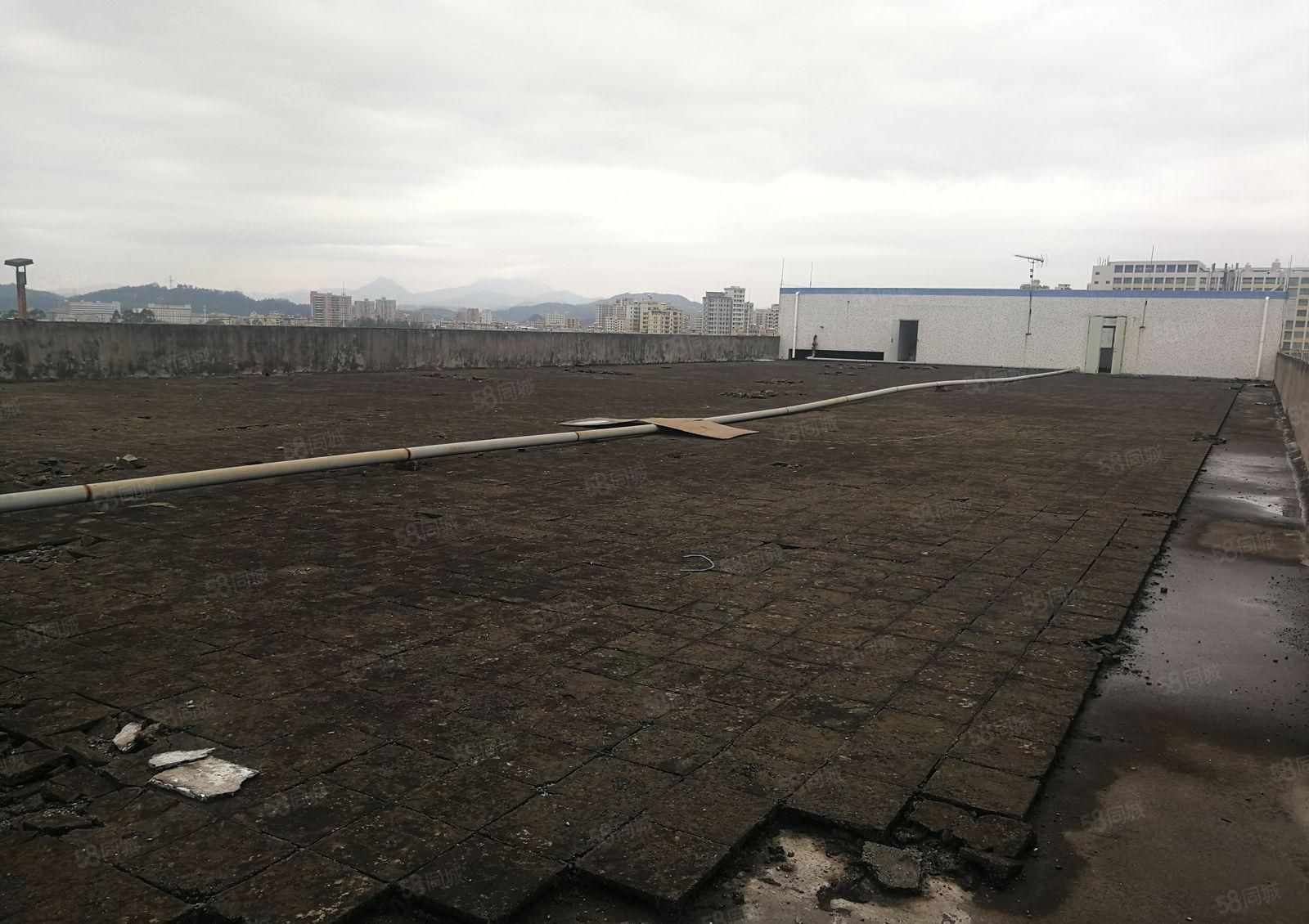 龙岗南联地铁口新出标准一楼厂房1000平米原房东