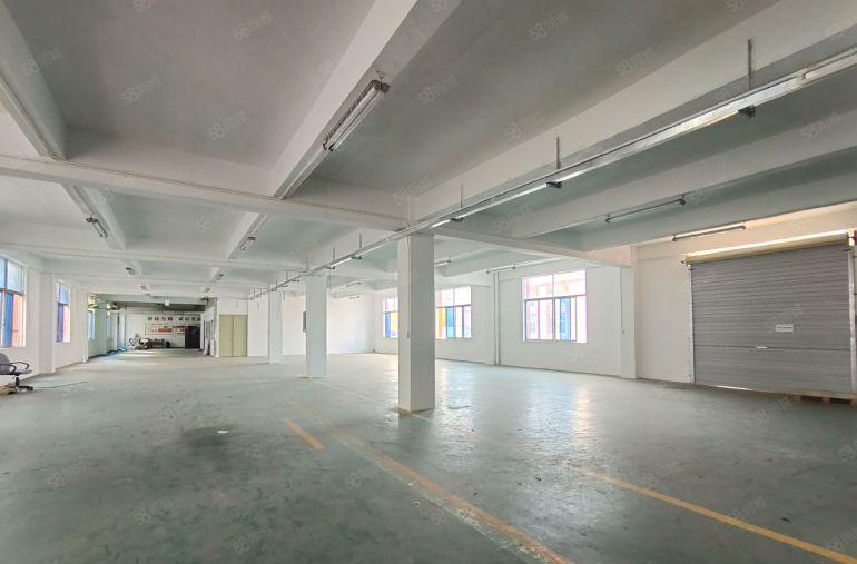 20元起租！龙岗龙东新出1300平厂房仓库出租可分租车位充足