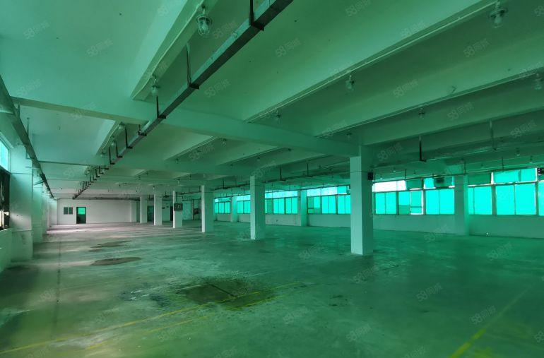 龙岗平湖富民工业园一楼3000平方厂房出租带消防喷淋和牛角位