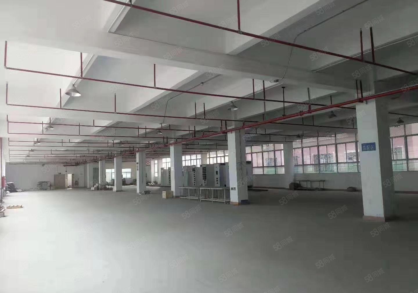 S龙岗中心城独院厂房8000平方，可以任意分租