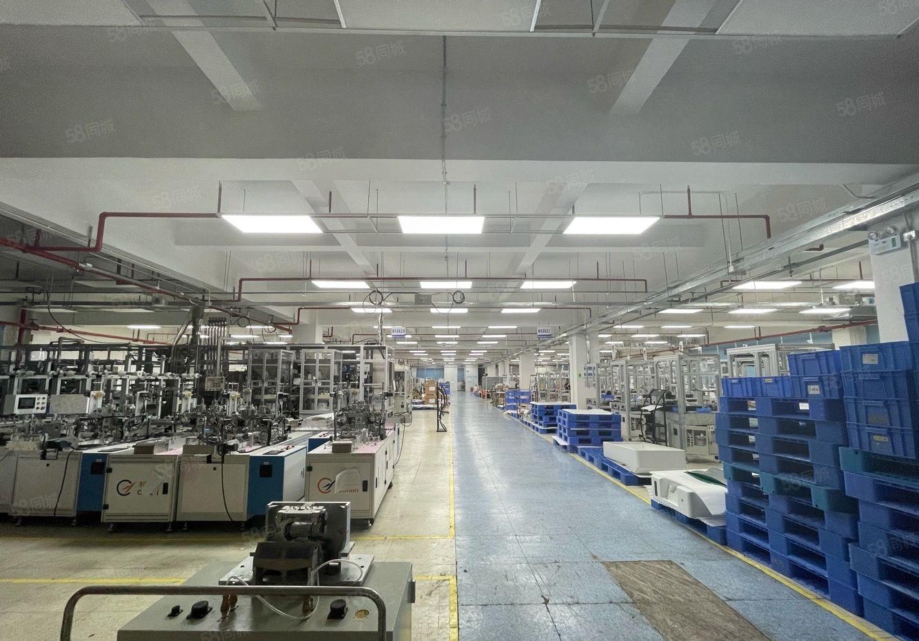 龙岗新出独院5000平报价20元厂房出租，含宿舍，大小可分租