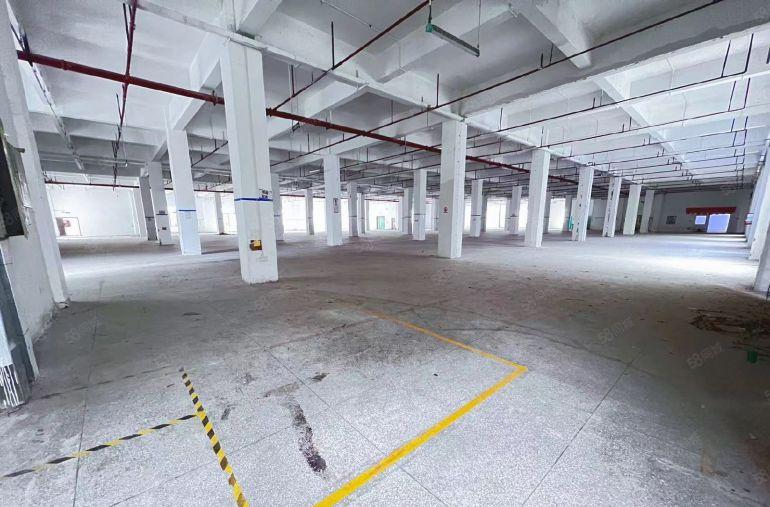 深圳龙岗红本独院厂房低价出租厂房出租