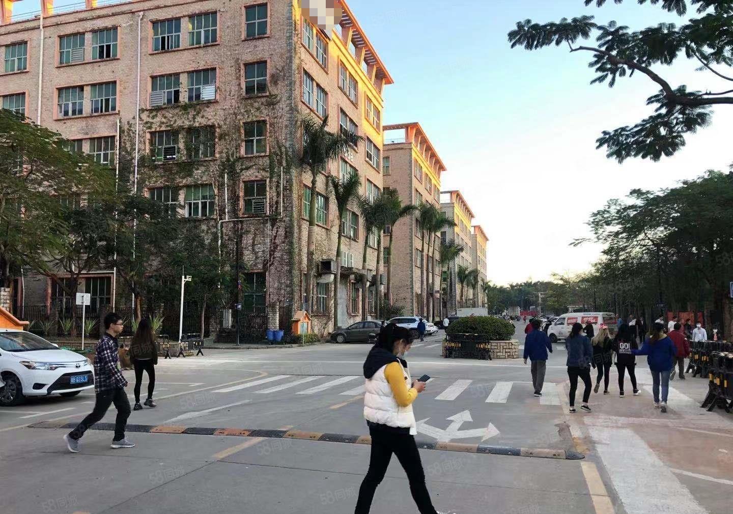 免租期3个月！坪地原房东工业区楼上3800平厂房大小分租