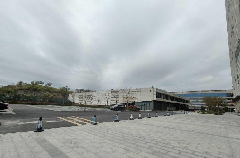 布吉原房东联创科技园一楼500平生活配套齐全 运动设施多样