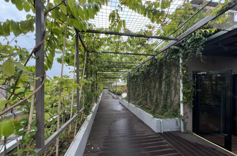 南联地铁口电商园小仓库380平方出租带空中花园精装修拎包入驻