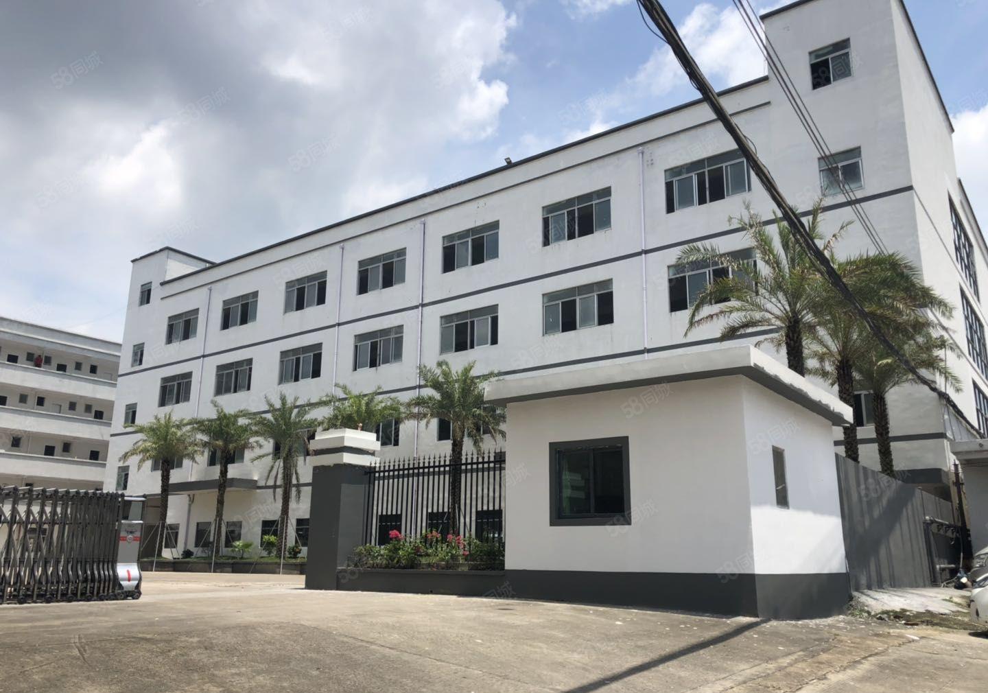 业主直租爱联嶂背独院一二楼500平起租带精装修厂房仓库出租