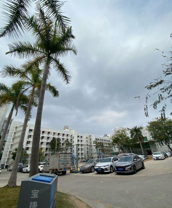 龙岗独院一楼低价仓库厂房出租1500平工业产业园可整栋可合租