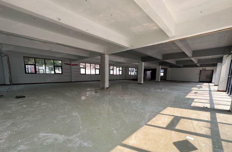 横岗小独栋2000平，高新产业园全玻璃幕墙精装修出租