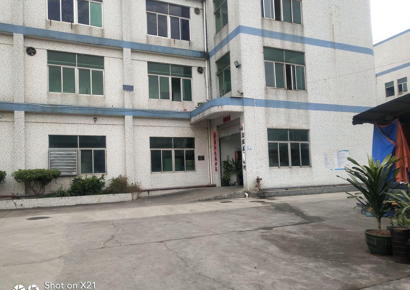 华南城附近独院厂房3300平米，一楼1100，可分600