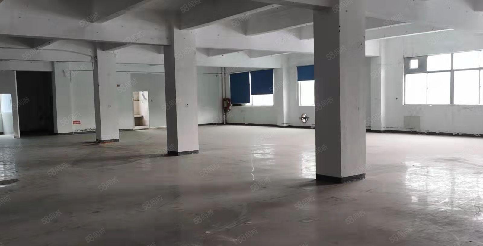 龙岗南联工业区200平至900平有装修办公室厂房仓库大小分租