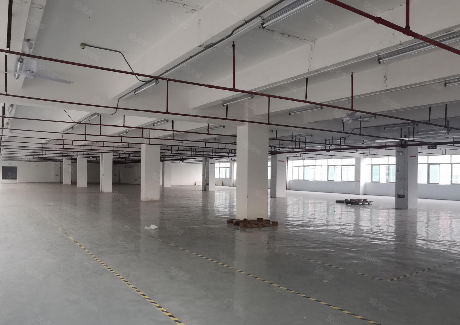 可办环评！原房东！坂田吉华新出1620平龙岗区标准厂房出租！