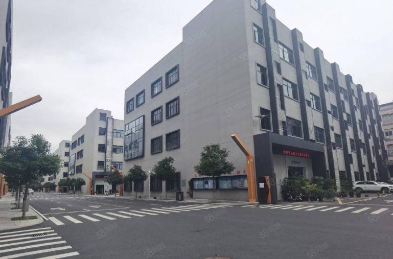 出租坂田电商园1000平厂房低价大小分厂房仓库出租转租