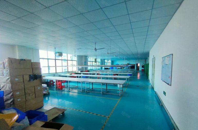 布吉坂田新出1000平米带地坪漆厂房 原房东红本厂房