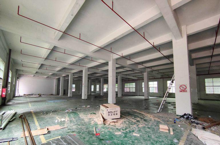 平湖独院新出一楼1500平厂房仓库出租可分租空地大交通方便